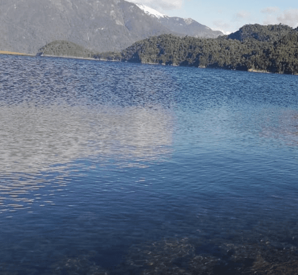 Lago Chapo 6 (Personalizado)